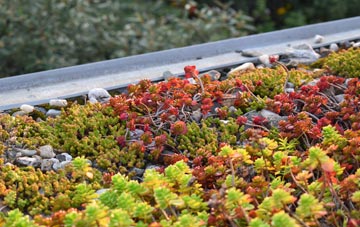 the cost of Immingham green roof installation