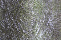 Immingham fibreglass roof work